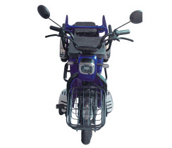 Трицикл аккумуляторный FORTE CARGO-WS600 синий