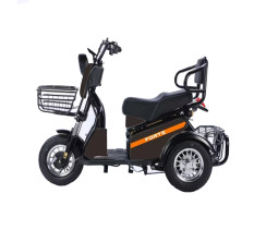 Трицикл аккумуляторный Forte S1-WS600 Черный