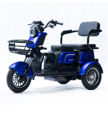 Трицикл акумуляторний Forte FAMILY-WD1000 синій