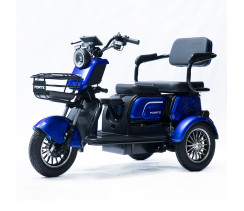 Трицикл аккумуляторный Forte FAMILY-WD1000 синий