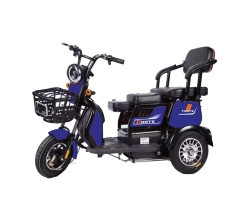 Трицикл аккумуляторный Forte FAMILY-WN600 синий