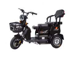 Трицикл аккумуляторный Forte FAMILY-WN600 черный