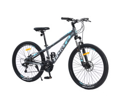 Велосипед Forte Fighter 25.2613-04S к26" р13" серый