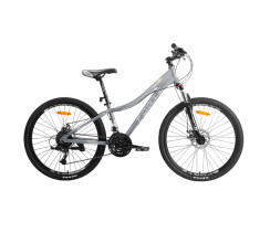 Велосипед FORTE STRIKER 25.2412-03A к24" р12" серый
