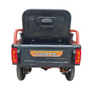 Грузовой электрический трицикл FORTE GP-1000-P Черный