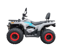 Квадроцикл Forte ATV-200BS-К Сірий