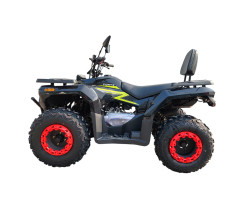 Квадроцикл Forte ATV-200BS-К Чорно-Зелений