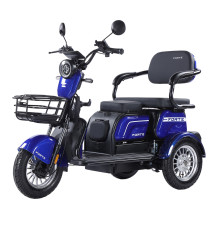 Трицикл акумуляторний Forte FAMILY-WN800 синій  