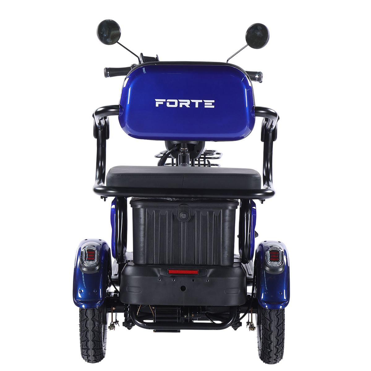Трицикл аккумуляторный Forte FAMILY-WN800 синий