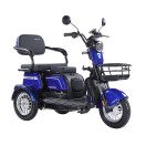 Трицикл аккумуляторный Forte FAMILY-WN800 синий