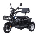 Трицикл акумуляторний Forte FAMILY-WN800 чорний