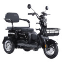 Трицикл акумуляторний Forte FAMILY-WN800 чорний