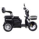 Трицикл акумуляторний Forte FAMILY-WN800 чорний