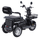 Трицикл акумуляторний Forte FAMILY-WN800 чорний
