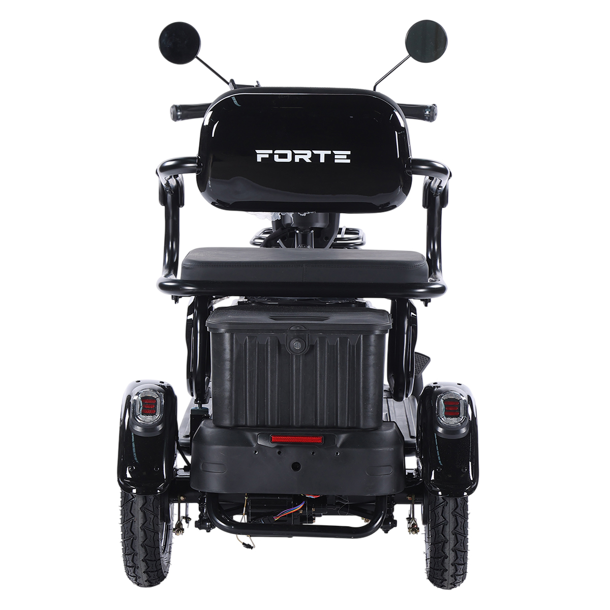 Трицикл акумуляторний Forte FAMILY-WN800 чорний