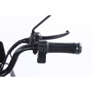 Трицикл акумуляторний Forte FAMILY-WN800 чорний