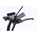 Трицикл акумуляторний Forte FAMILY-WN800 чорний