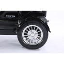 Трицикл акумуляторний Forte FAMILY-WN800 чорний