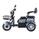 Трицикл акумуляторний Forte FAMILY-WN800 сiрий