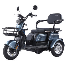Трицикл акумуляторний Forte FAMILY-WN800 сiрий