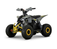 Квадроцикл FORTE AU110 Жовтий