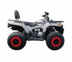 Quad bike Forte ATV-200BS PRO Gray