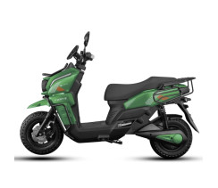 Electric scooter FORTE UNICORN LIGHT Green