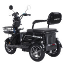 Трицикл аккумуляторный Forte Family-WN1072 Черный