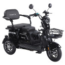 Трицикл аккумуляторный Forte Family-WN1072 Черный