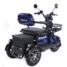 Трицикл аккумуляторный Forte Family-WN1072 Синий