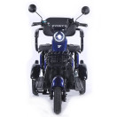 Трицикл аккумуляторный Forte Family-WN1072 Синий