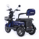 Трицикл аккумуляторный Forte Family-WN1072 Синий