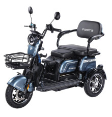 Battery tricycle Forte Family-WN1072 Gray