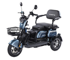 Battery tricycle Forte Family-WN1072 Gray