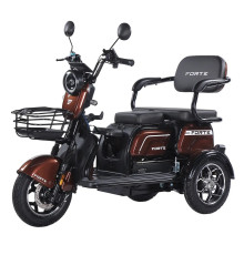 Battery tricycle Forte Family-WN1072 Brown