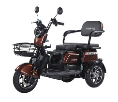 Battery tricycle Forte Family-WN1072 Brown