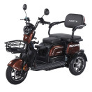 Трицикл аккумуляторный Forte Family-WN1072G Коричневый