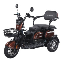Battery tricycle Forte Family-WN1072G Brown