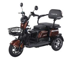 Battery tricycle Forte Family-WN1072G Brown
