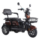 Трицикл аккумуляторный Forte Family-WN1072G Коричневый