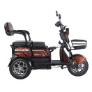 Трицикл аккумуляторный Forte Family-WN1072G Коричневый