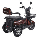Трицикл аккумуляторный Forte Family-WN1072G Коричневый
