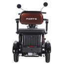 Трицикл аккумуляторный Forte Family-WN1072G Коричневый