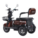 Трицикл аккумуляторный Forte Family-WN1072G Коричневый