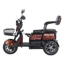 Трицикл аккумуляторный Forte Family-WN1072G Коричневый