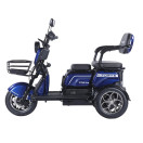 Трицикл аккумуляторный Forte Family-WN1072G Синий
