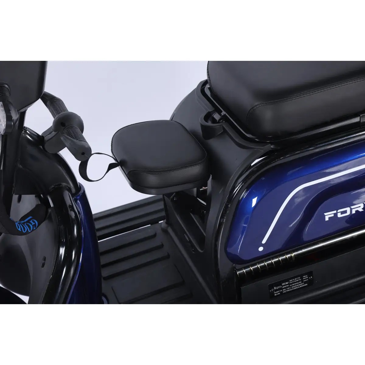 Трицикл аккумуляторный Forte Family-WN1072G Синий
