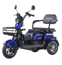 Battery tricycle Forte Family-WN1072G Blue