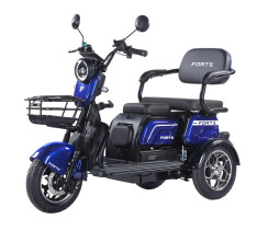 Трицикл аккумуляторный Forte Family-WN1072G Синий