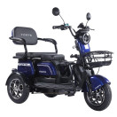 Трицикл аккумуляторный Forte Family-WN1072G Синий